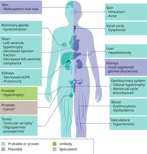 side effects of anabolic steroids